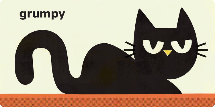 Spring Street All About Us: Feelings by Boxer Books