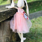 Marcella the Bunny Ballerina