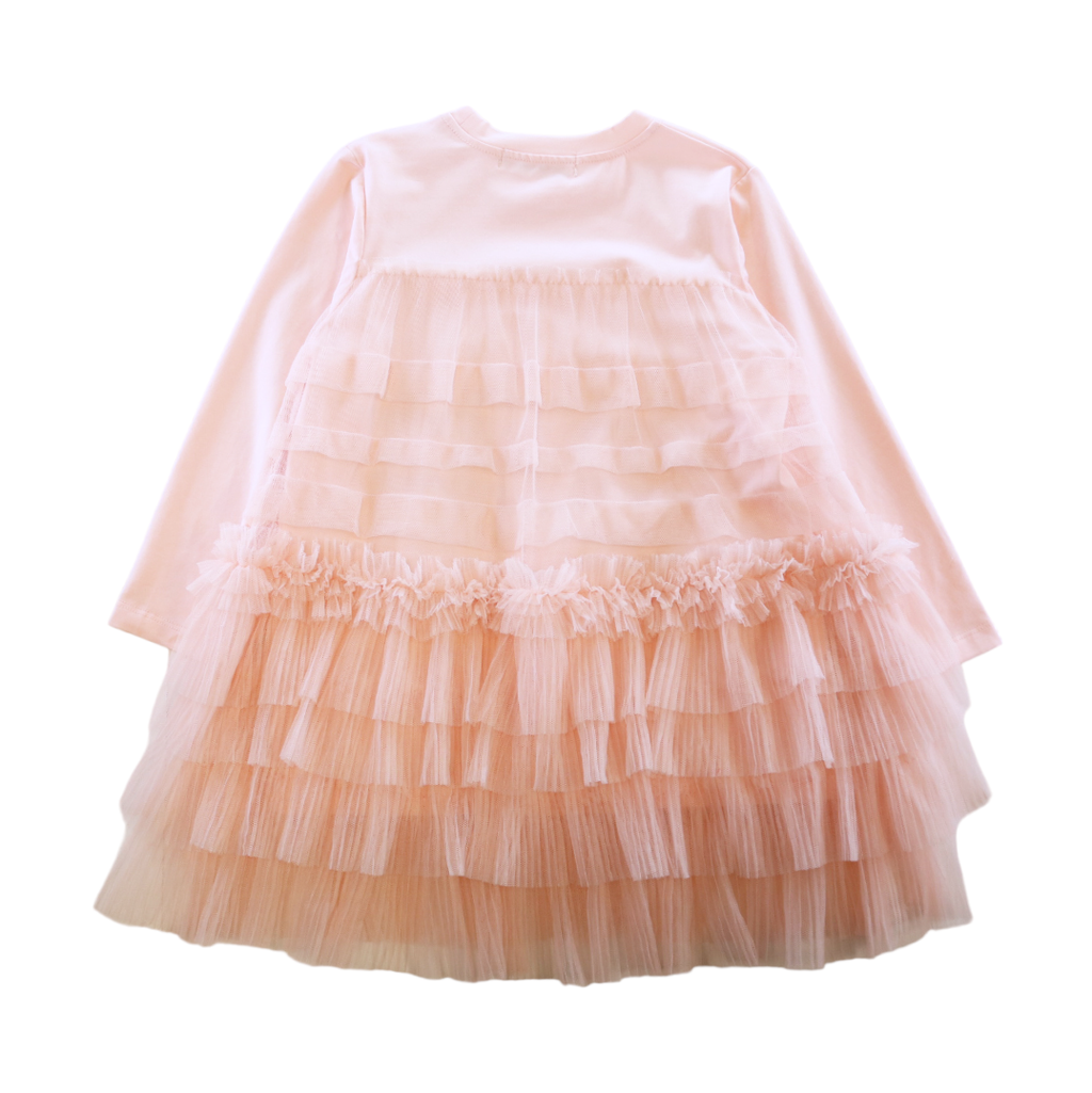 Ruffle Mesh Layer Dress