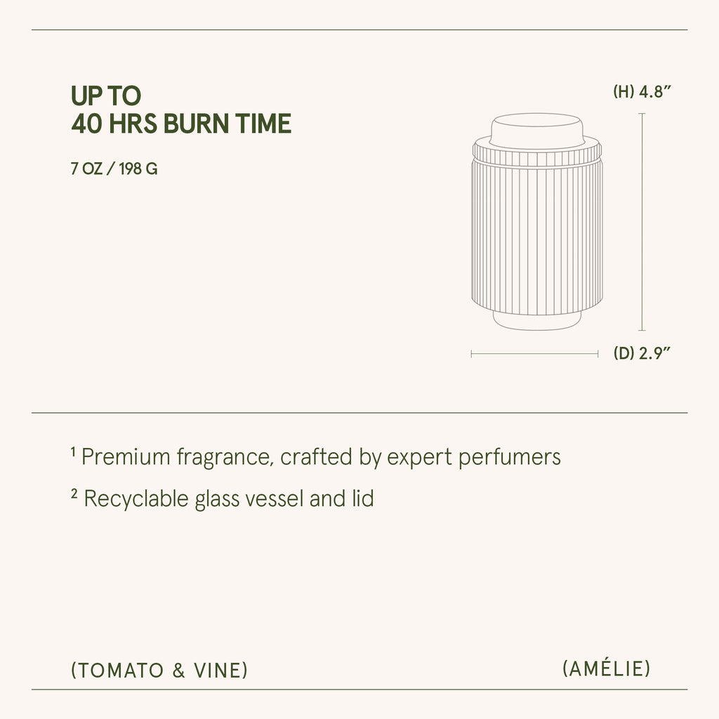Amélie – Tomato & Vine Candle