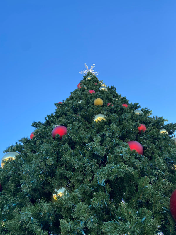 Tuscan Village Holiday Shoppes