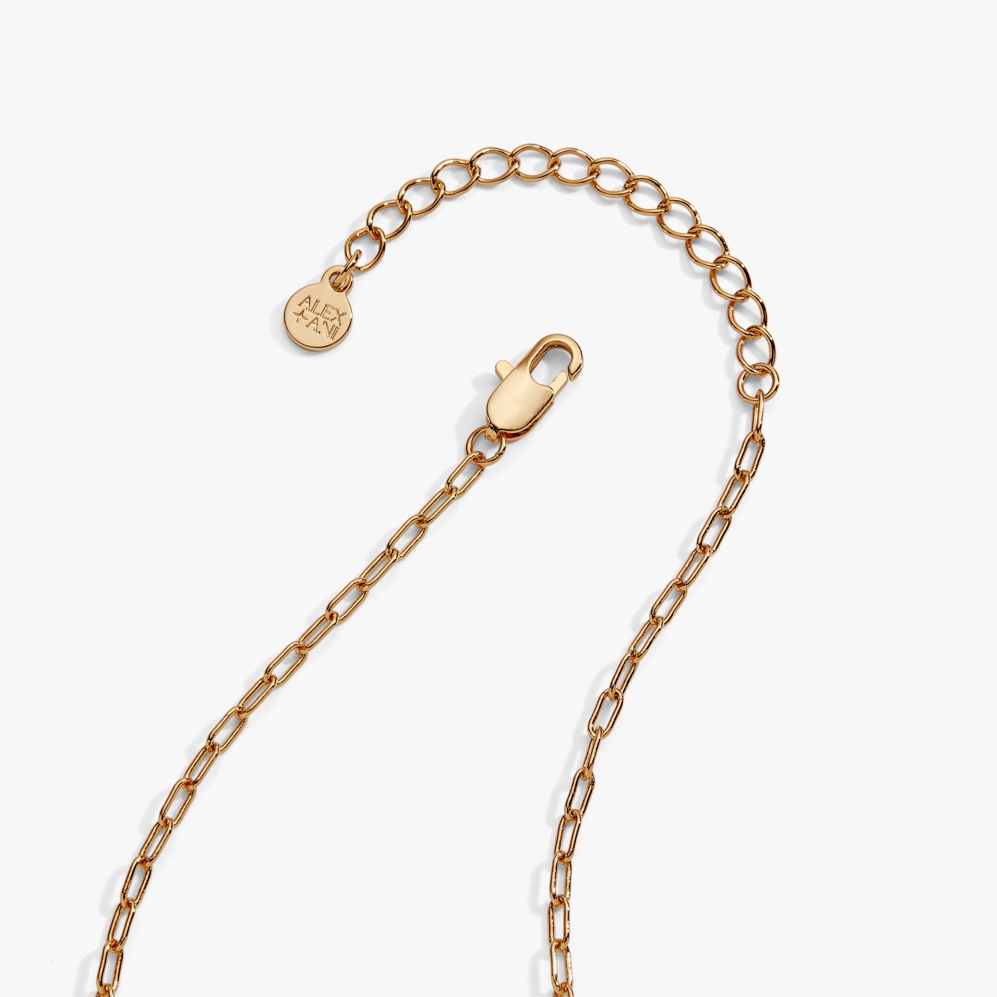 Alex + Ani - Pasta Girl 'Anything Is Pastable' Ravioli Locket Pendant