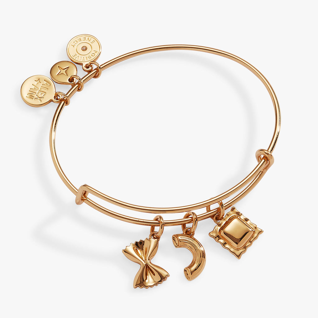 Alex + Ani - Pasta Multi Charm Bangle