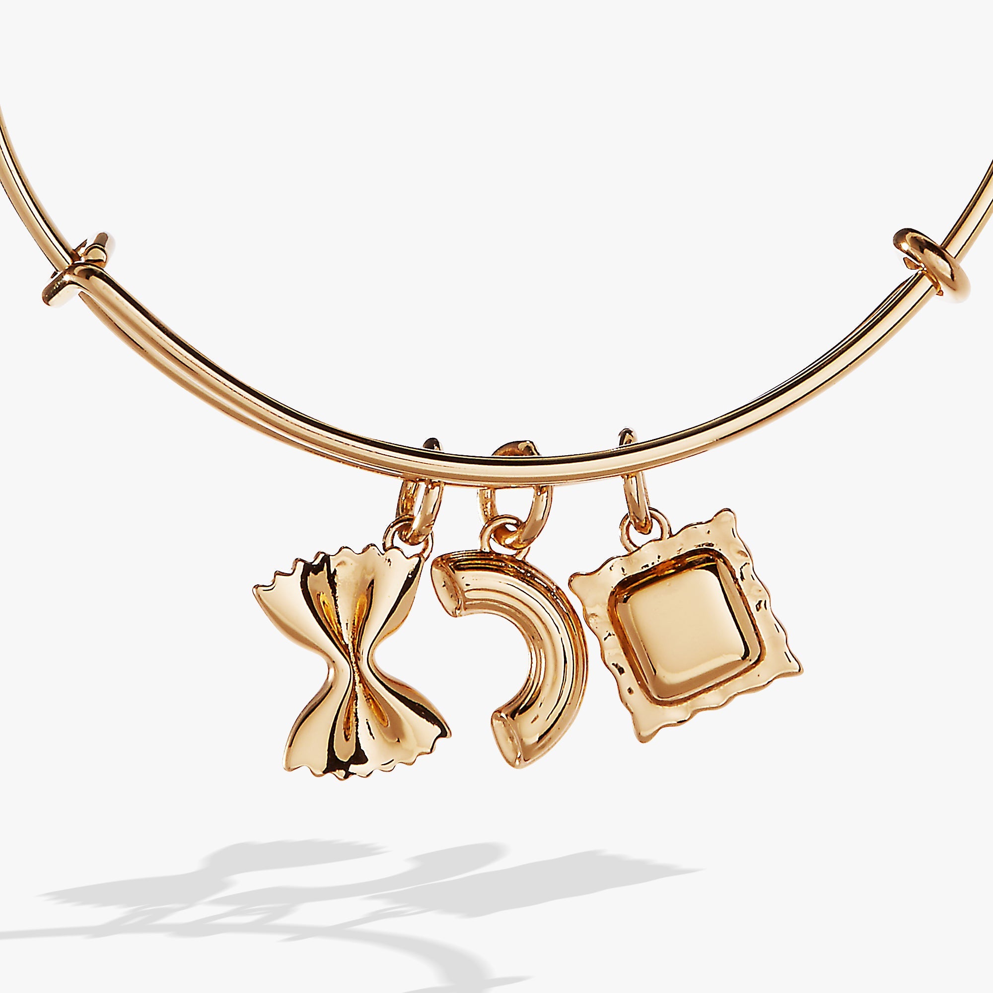 Alex + Ani - Pasta Multi Charm Bangle