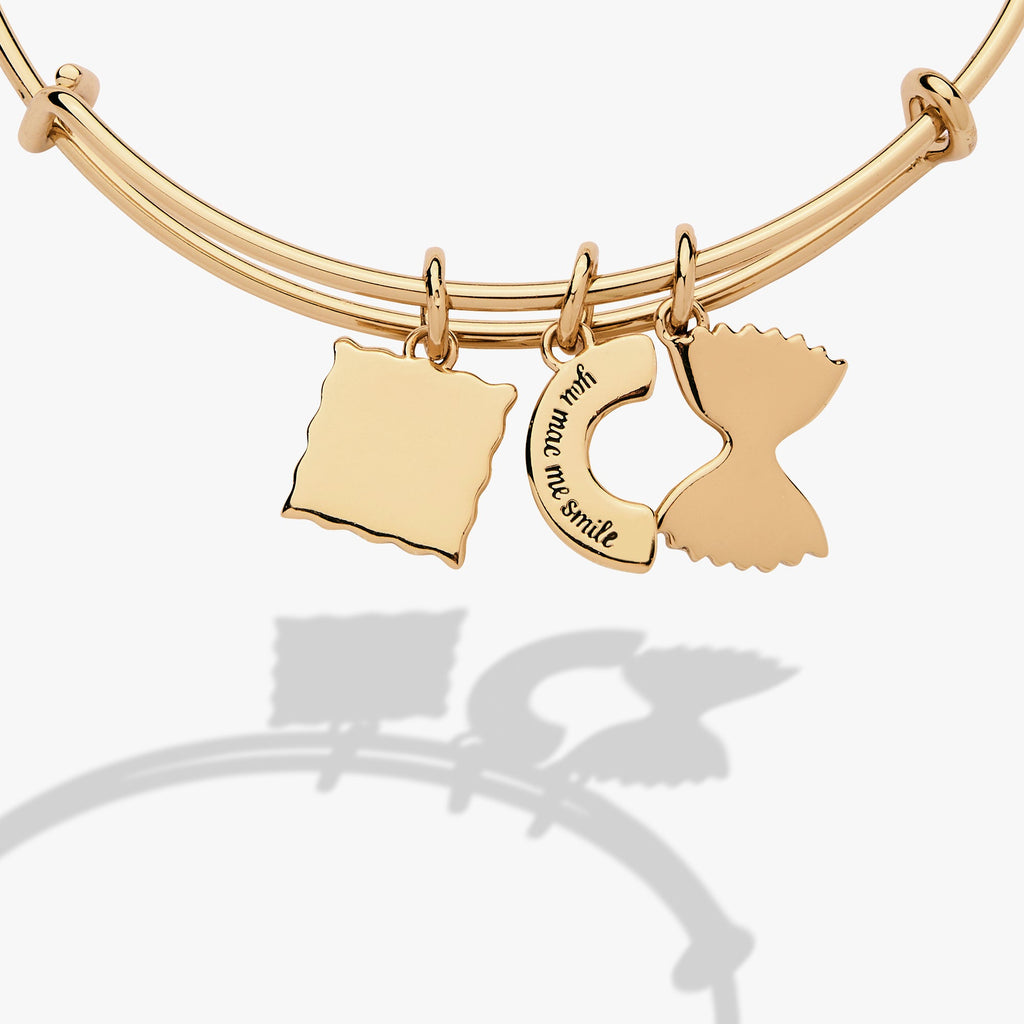 Alex + Ani - Pasta Multi Charm Bangle