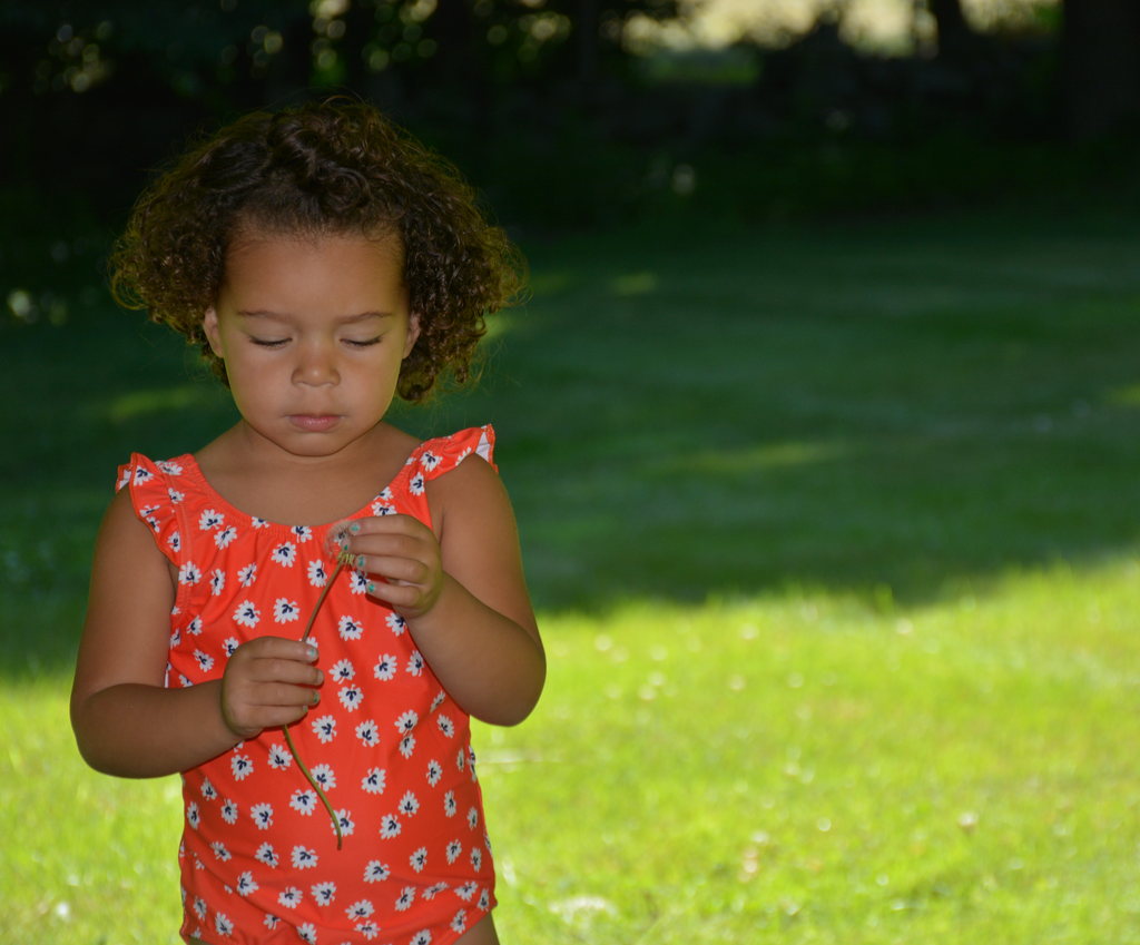 Citrus Daisy MINI Swim - COSMO + CAPRI